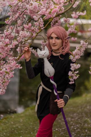 Coplay von Amity-Blight unter einem Kirschbaum mit Kirschblüten.